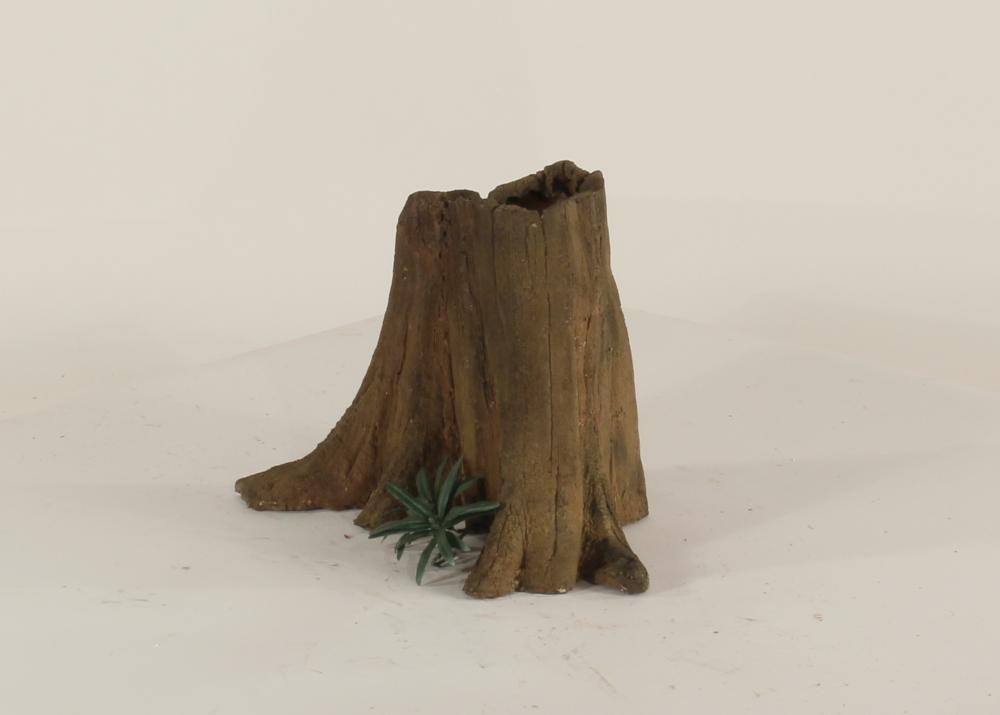Cypress Stump-001