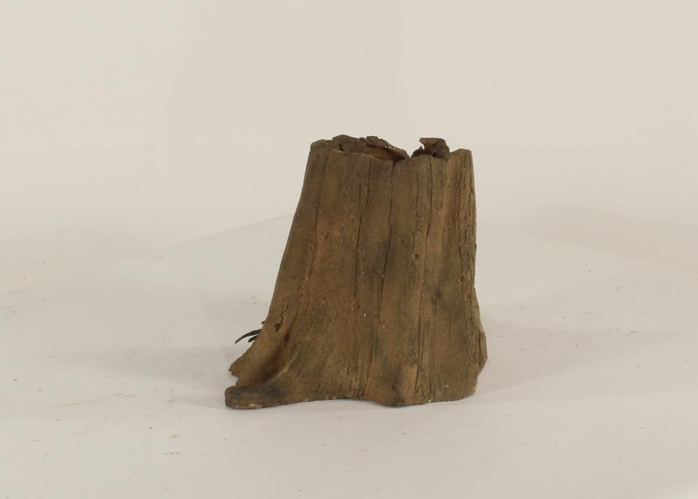 Cypress Stump-001