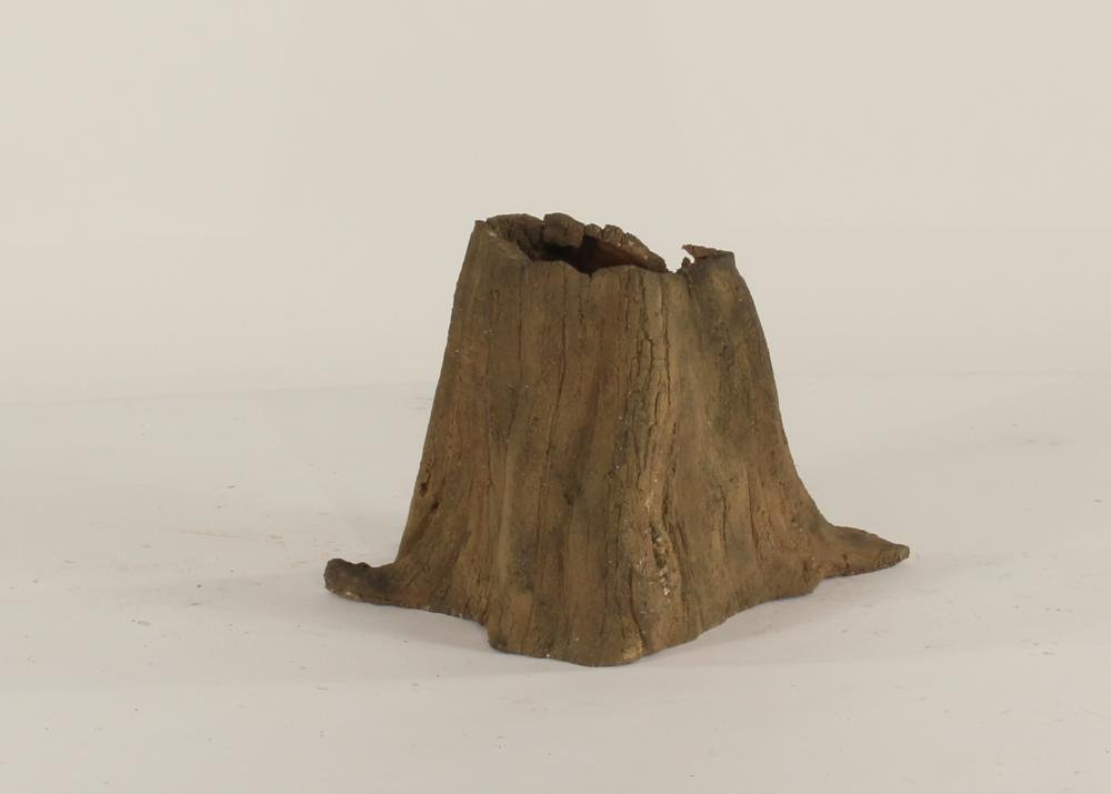 Cypress Stump-001