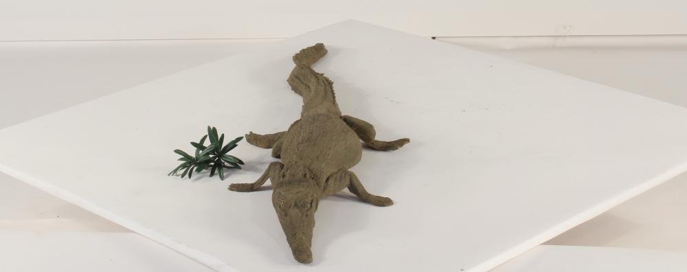 Floating Crocodile