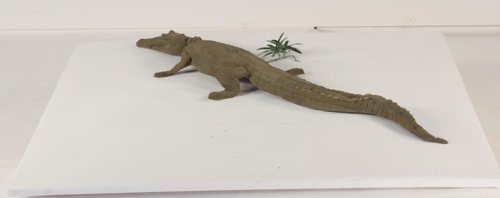 Floating Crocodile