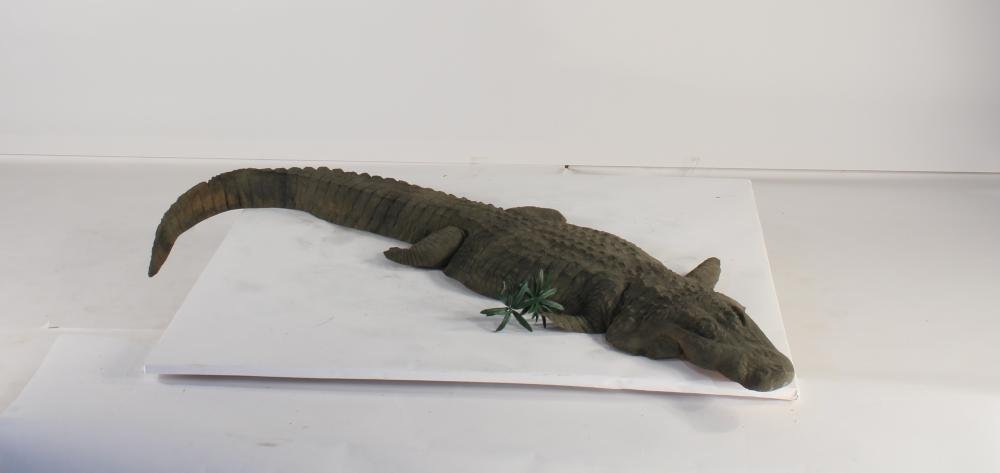 Floating Alligator