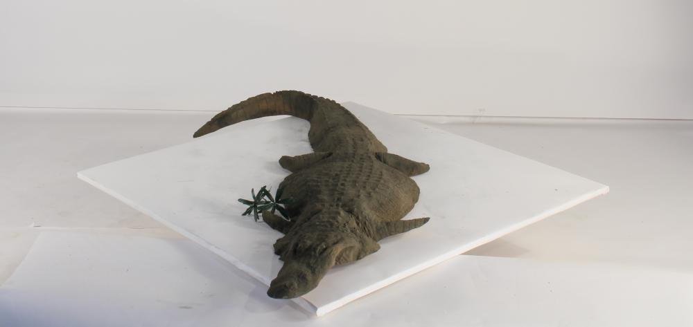 Floating Alligator