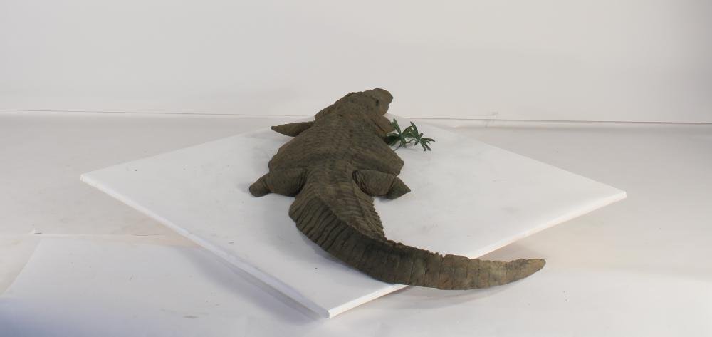 Floating Alligator