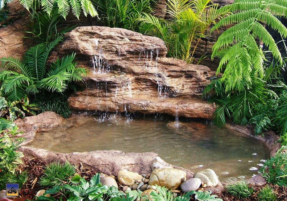 Large Pond-002