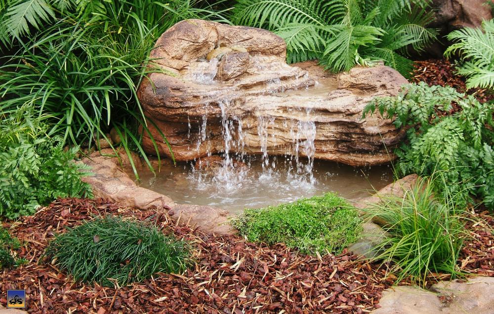 Medium Rock Pond-006
