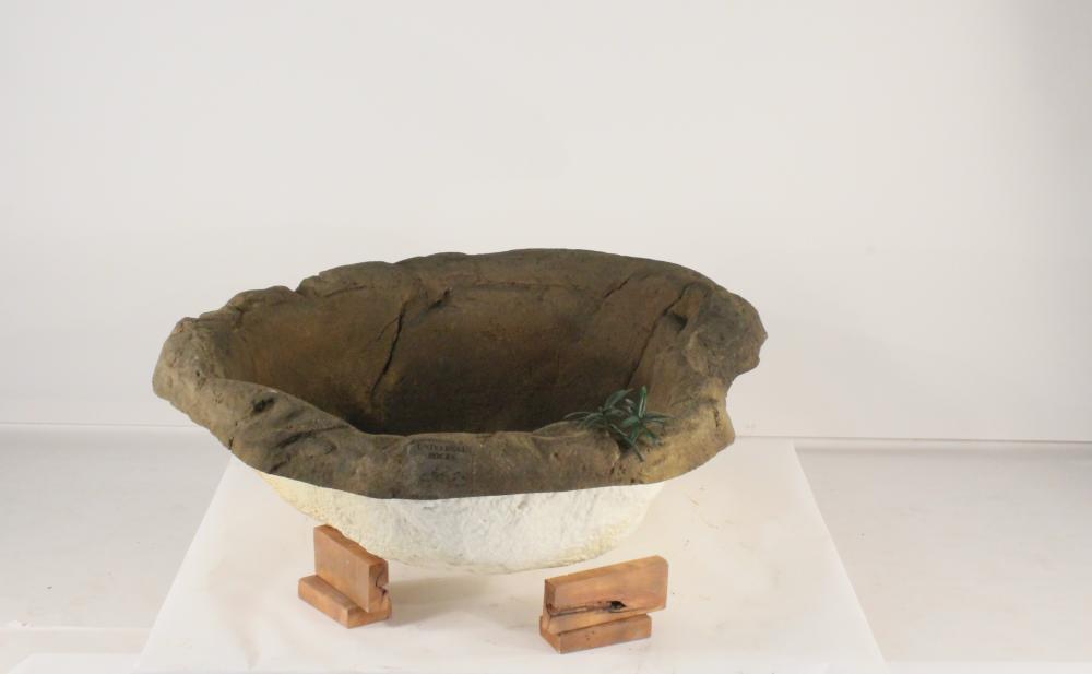 Medium Rock Pond-006
