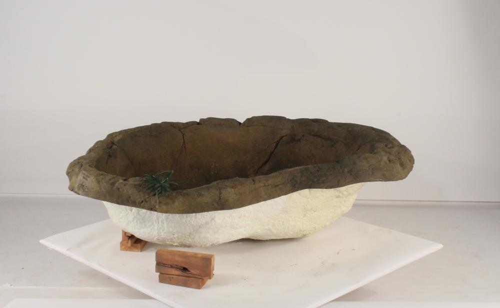 Medium Rock Pond-006