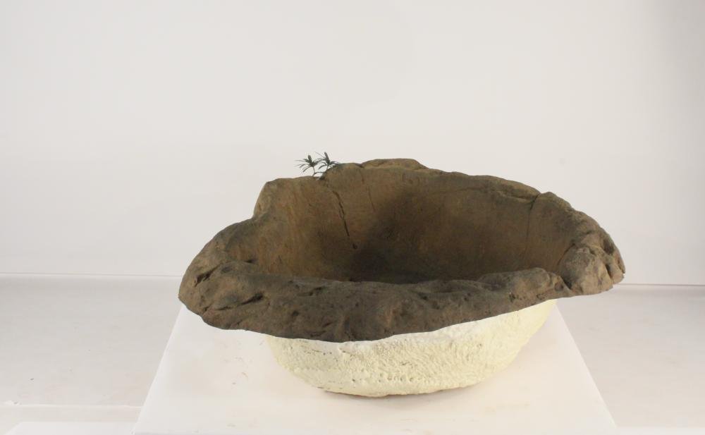 Medium Rock Pond-006