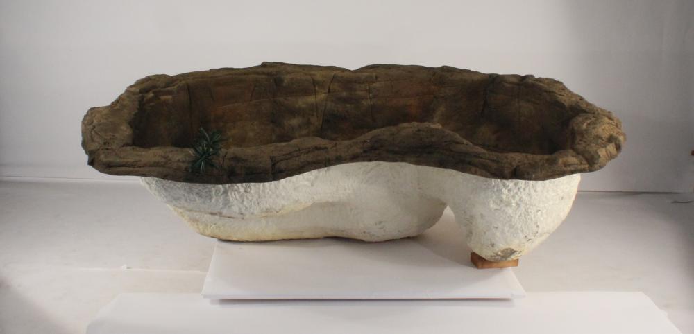 Medium Rock Pond-016