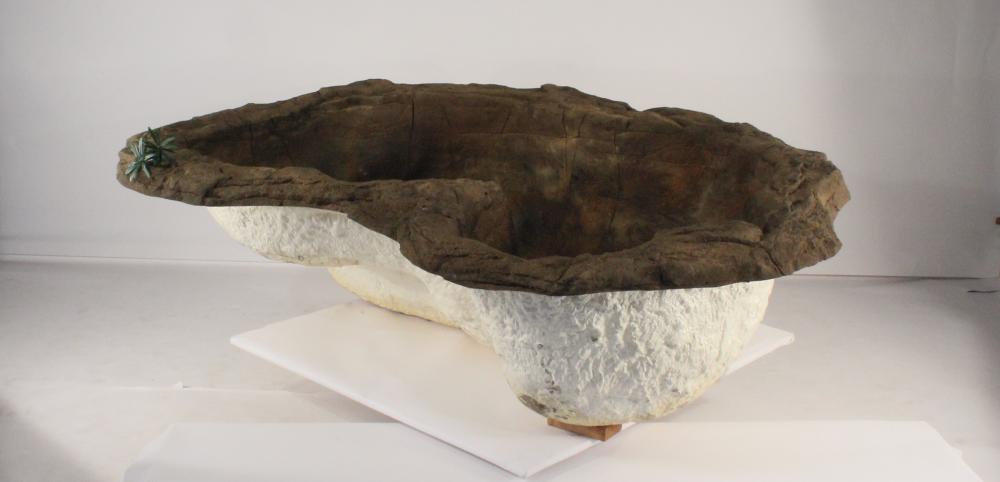Medium Rock Pond-016