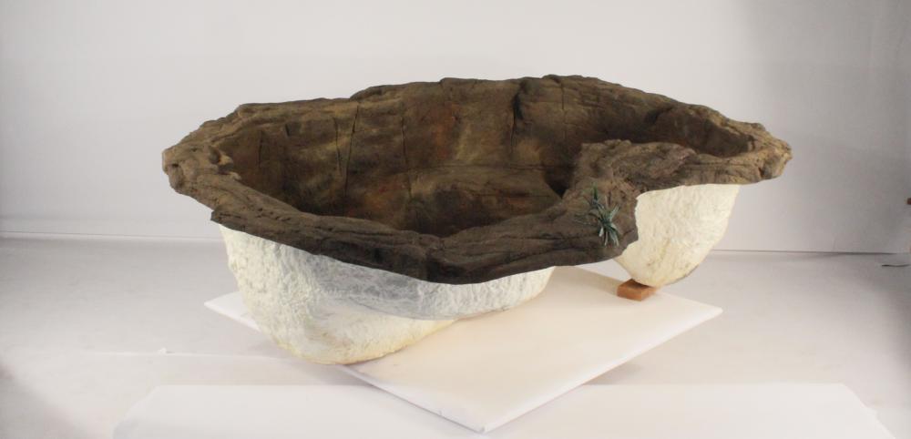 Medium Rock Pond-016