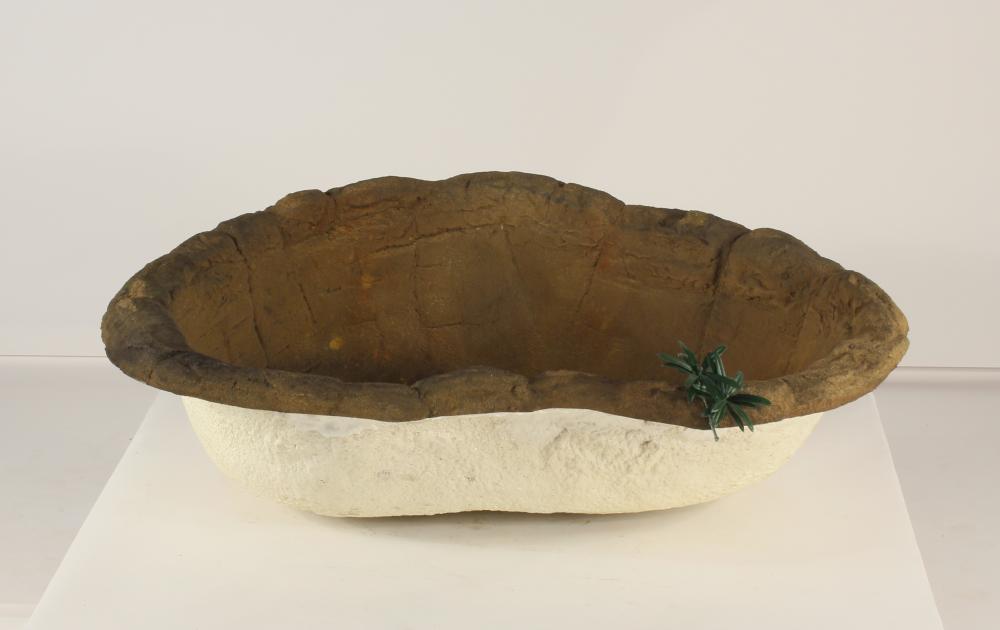Small Rock Pond-012