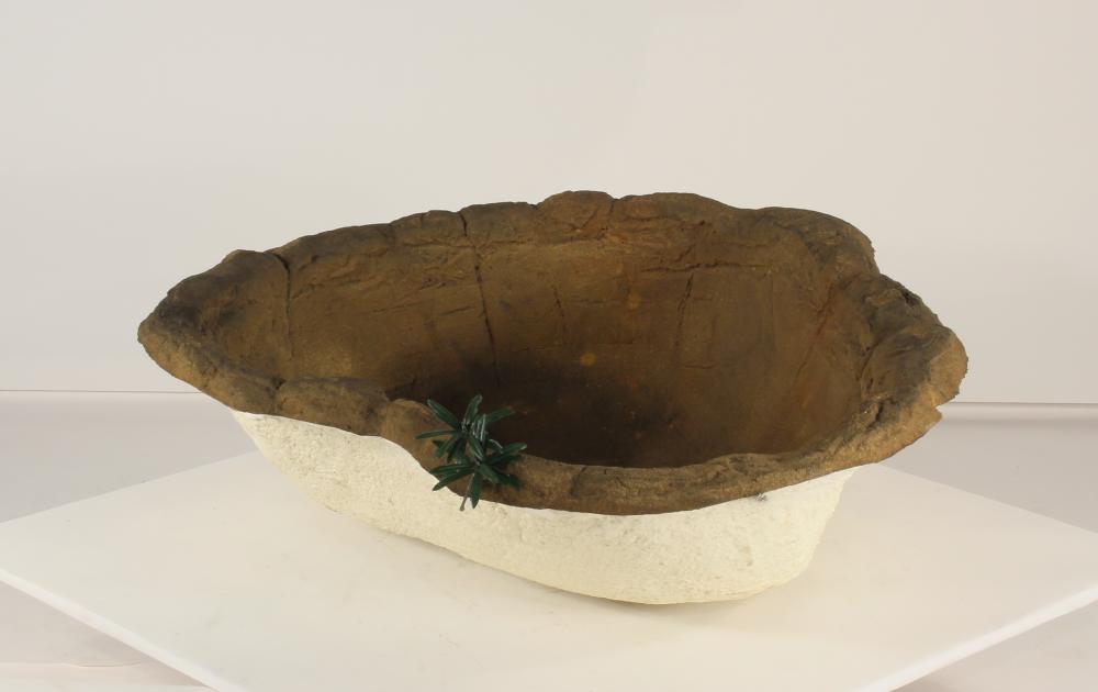 Small Rock Pond-012