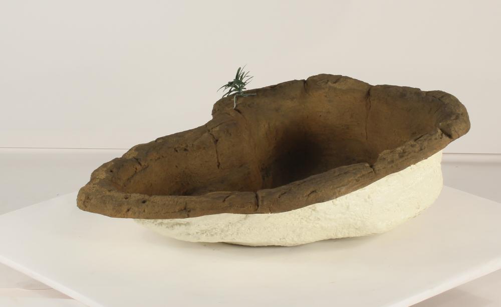 Small Rock Pond-014
