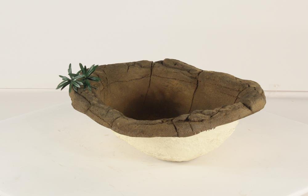 Small Rock Pond-016