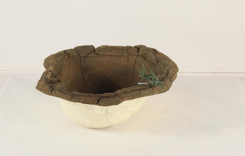 Small Rock Pond-016
