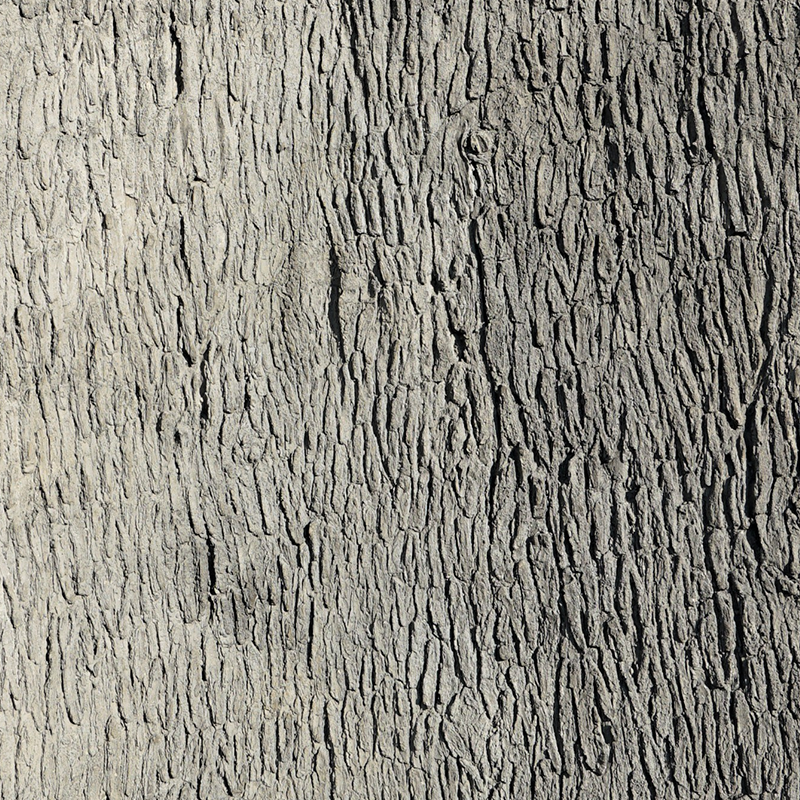 Pecan Tree Bark Wall Panel 6’ x 13’