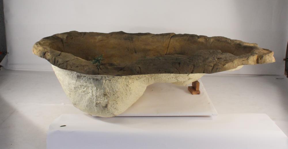 Medium Rock Pond-015