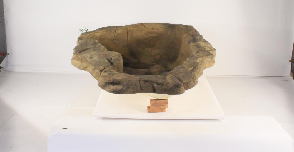 Medium Rock Pond-015