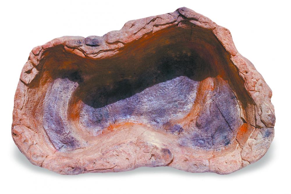 Medium Rock Pond-011