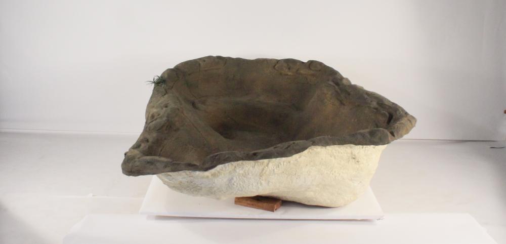 Medium Rock Pond-011