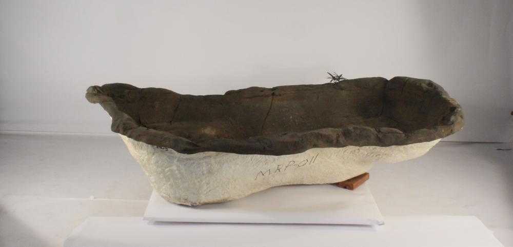 Medium Rock Pond-011