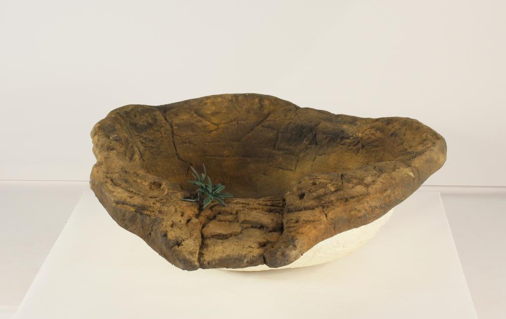 Small rock Pond-013 (spillway)