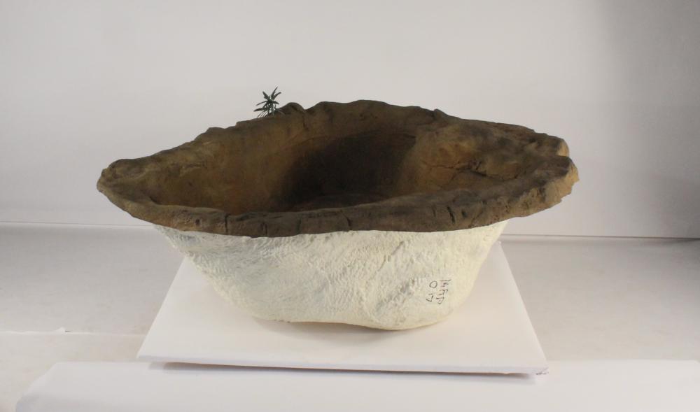 Medium Rock Pond-017