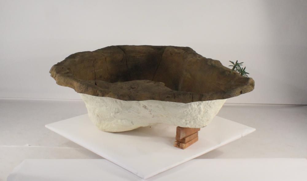 Medium Rock Pond-017