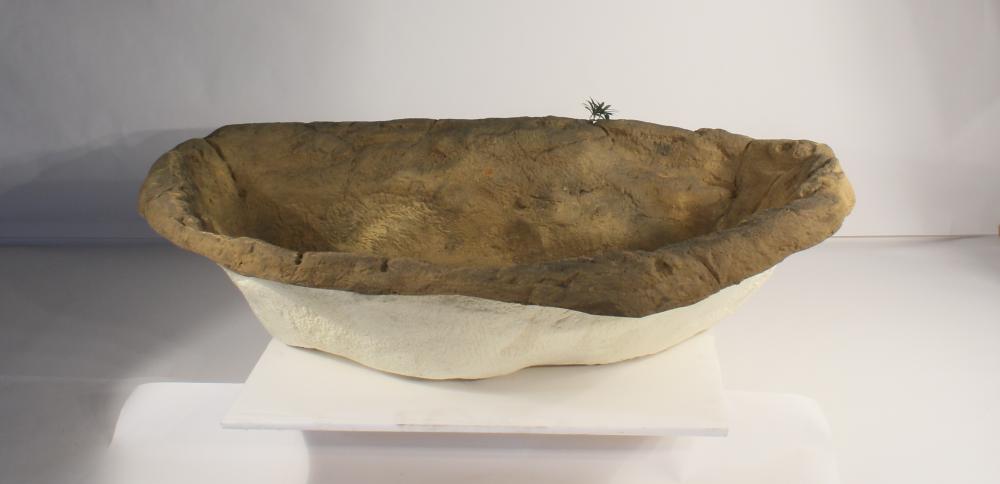 Medium Rock Pond-008