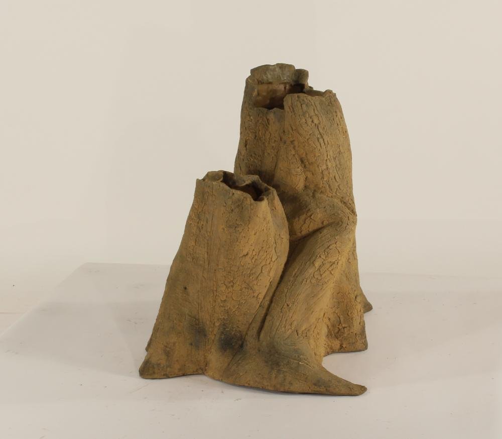 Cypress Stump-004