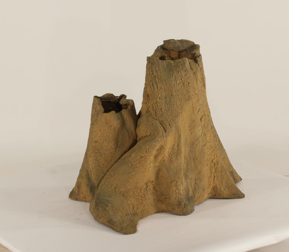 Cypress Stump-004