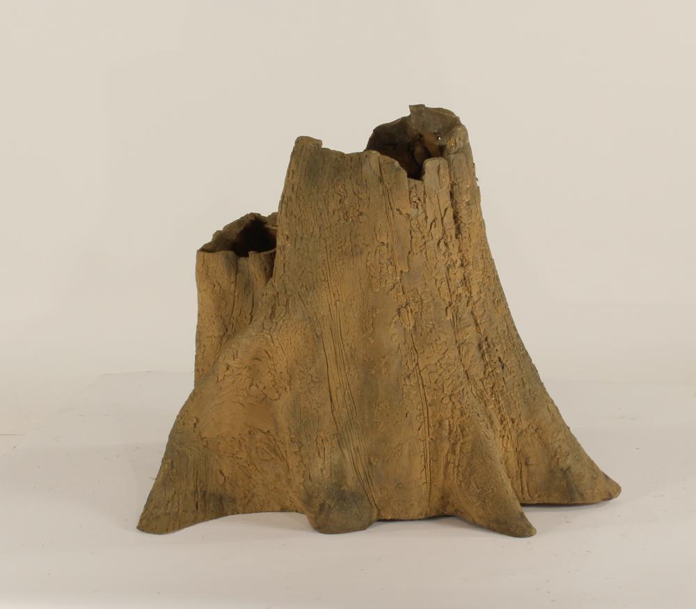 Cypress Stump-004