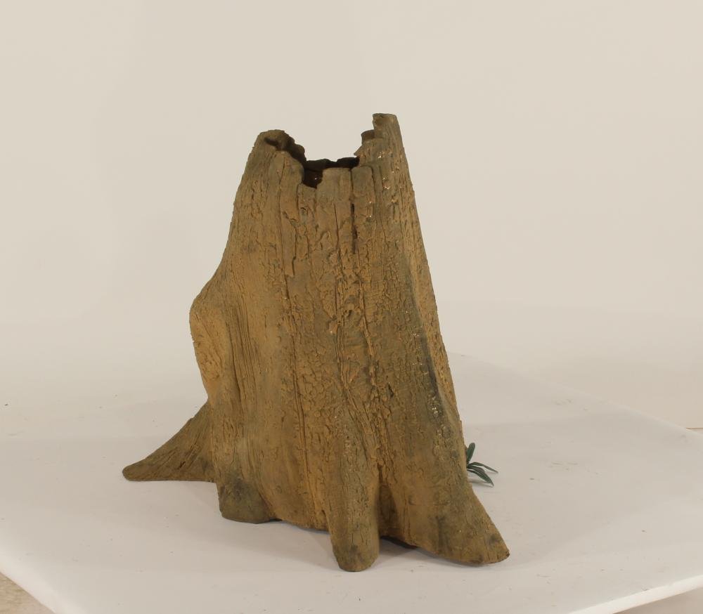 Cypress Stump-004