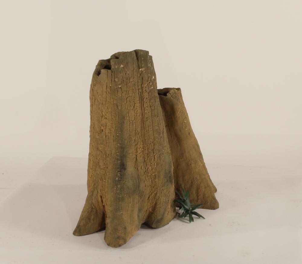 Cypress Stump-004