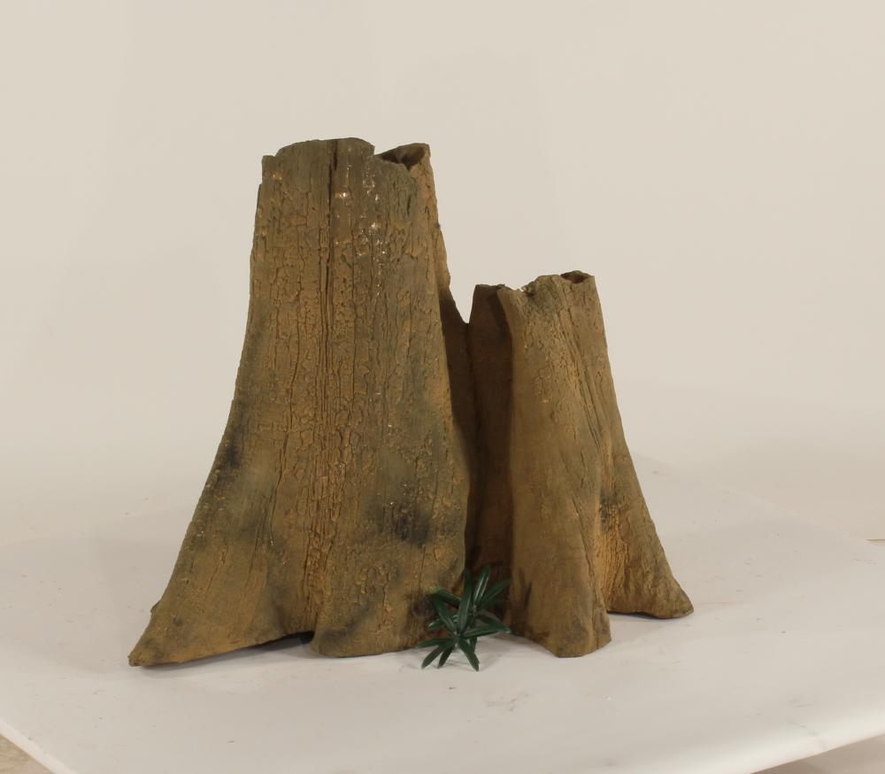 Cypress Stump-004