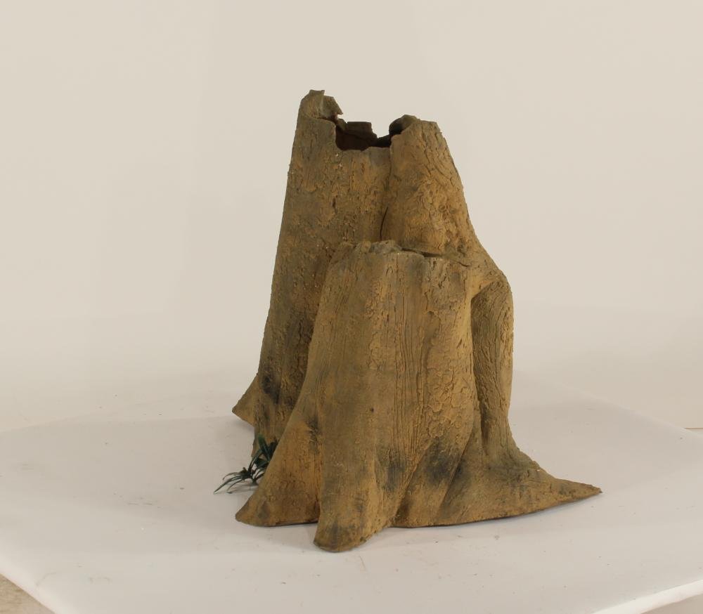 Cypress Stump-004