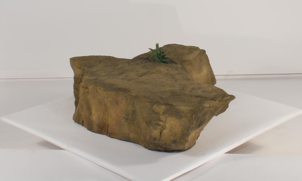 Bubbling Rock-012