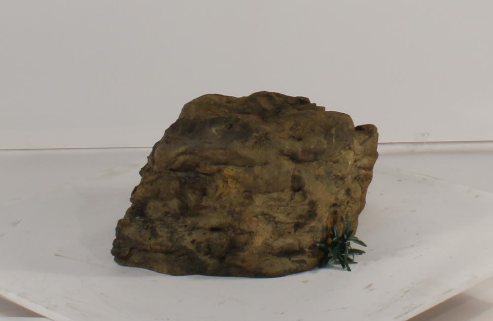 Bubbling Rock-019