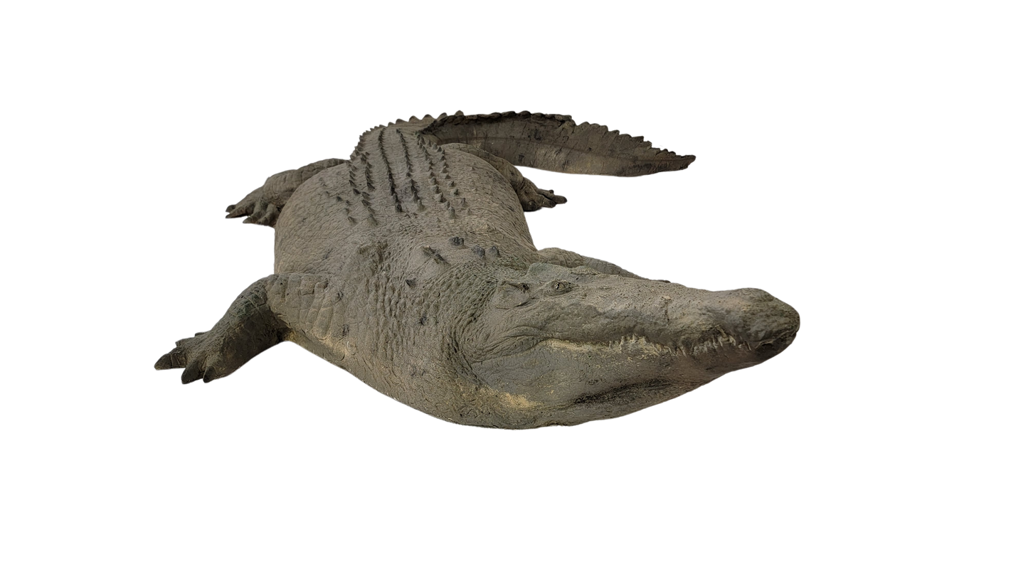 Floating Crocodile Large