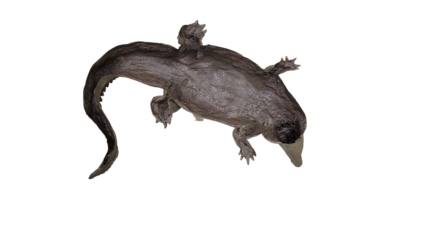 Floating Crocodile Large