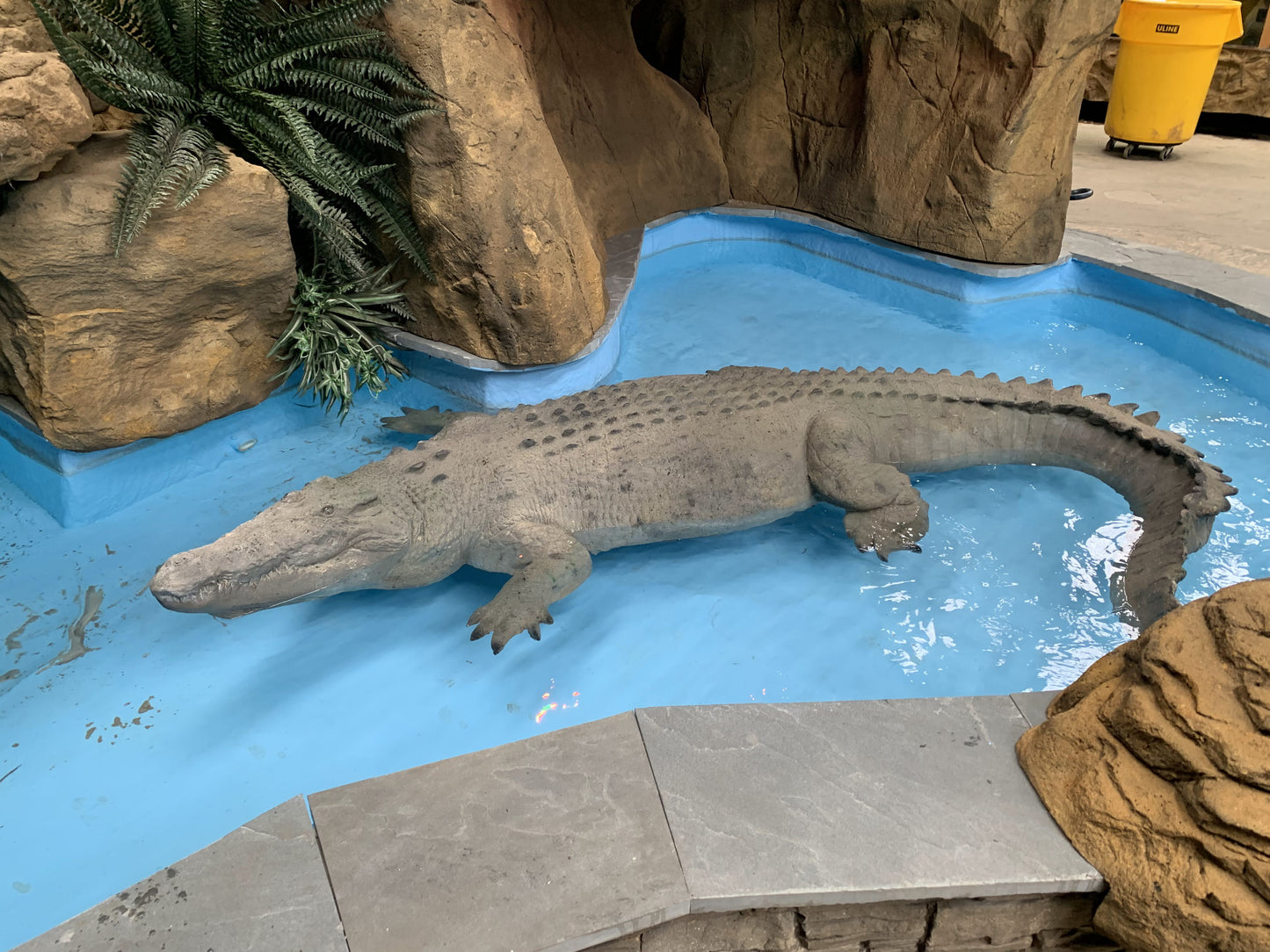 Floating Crocodile Large