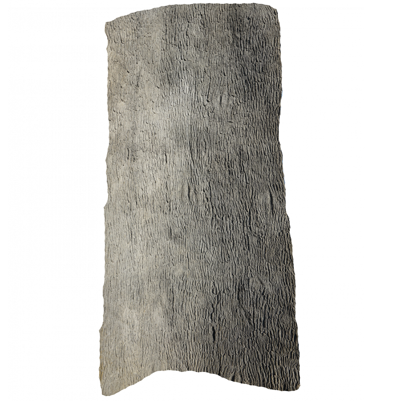 Pecan Tree Bark Wall Panel 6’ x 13’