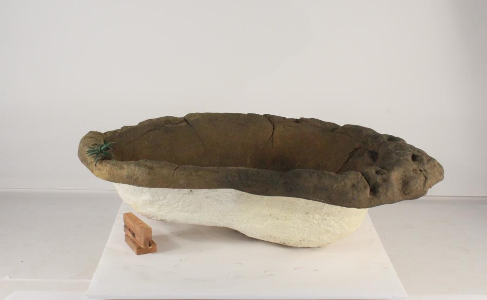 Medium Rock Pond-006