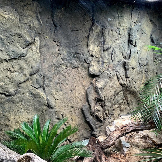 Grotto Rock Wall Panel 9’x9’
