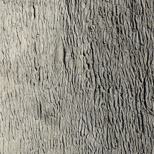 Pecan Tree Bark Wall Panel 6’ x 13’