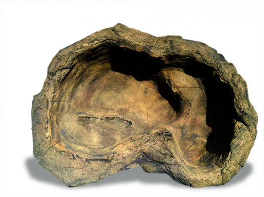 Medium Rock Pond-016