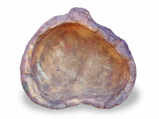 Small Rock Pond-012