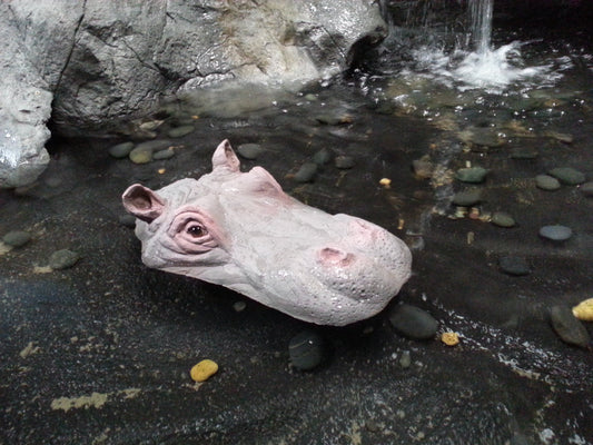 Floating Hippo Head- Small